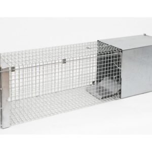 Pasca na živú návnadu - kuna