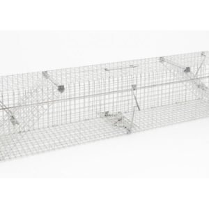 Pasca univerzál - mačka