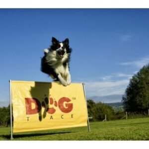 Prekážka Dogtrace Dogtrace Poľovnícke potreby